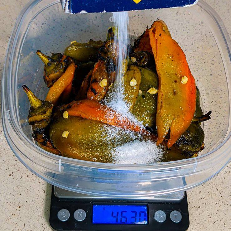 The beginning of a batch of fermented Hatch chile