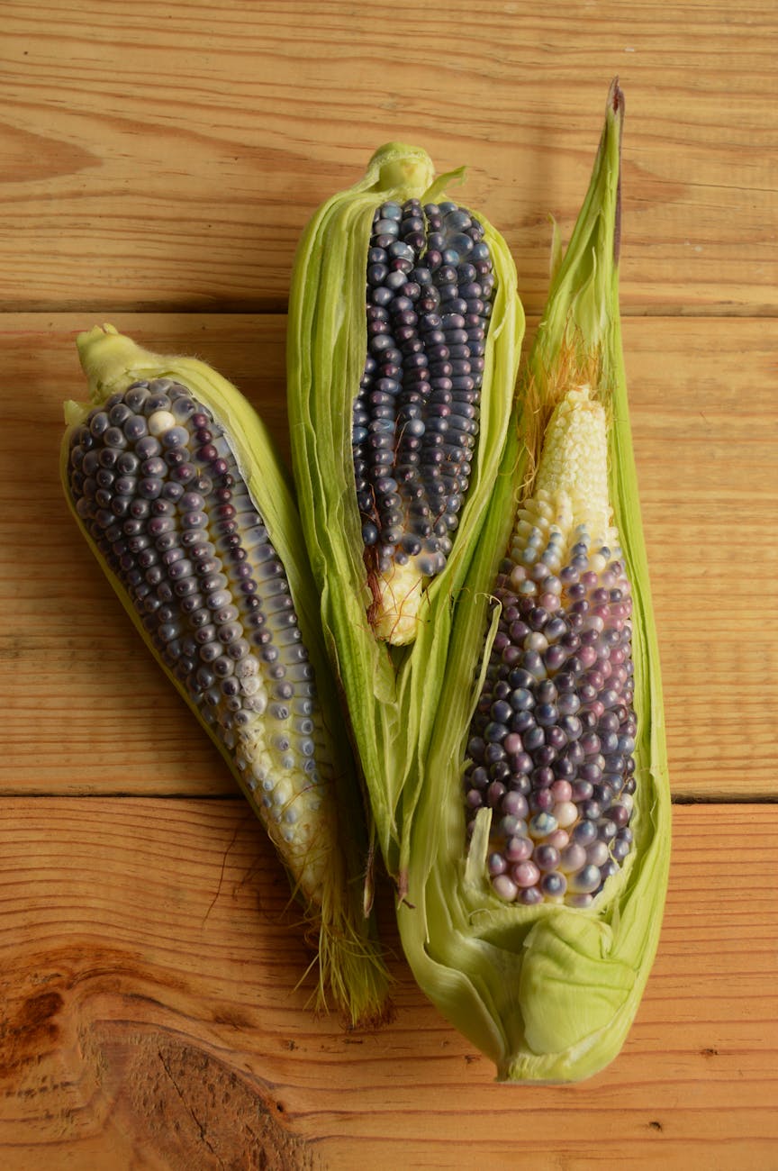 three green corns