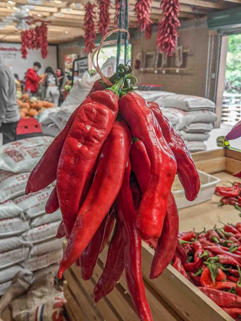 a chile ristra being tied by Jhett with two strings of twine at a chile farm store in New Mexico