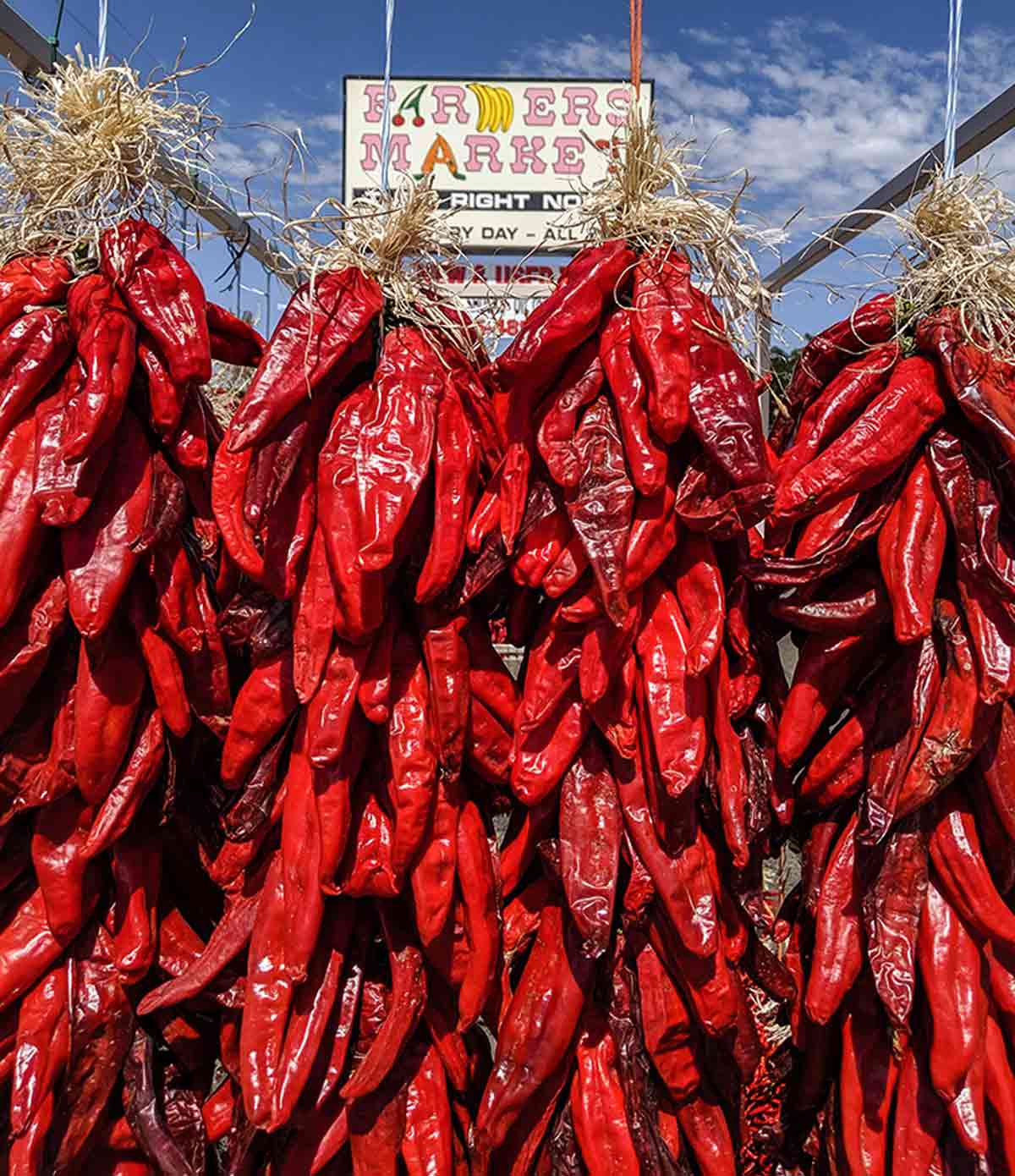 2 foot Hatch red chile ristras in front of old Farmers Market sign at Farmers Chile Market in Albuquerque